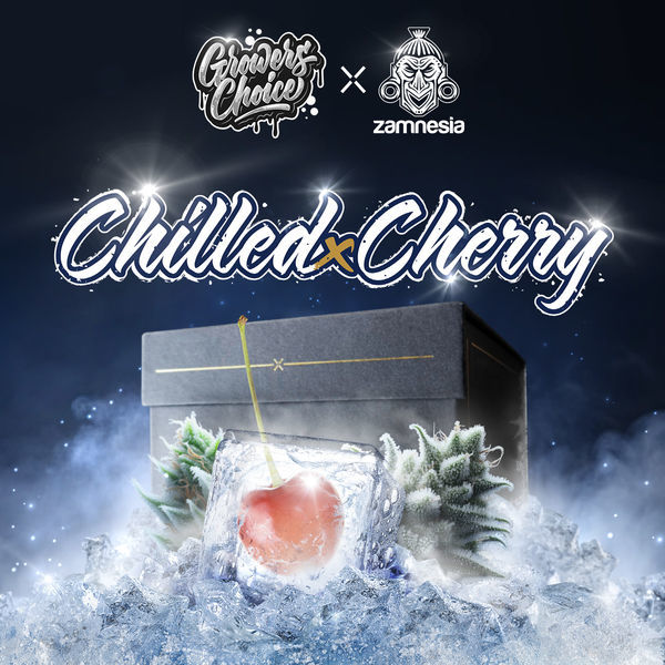 Chilled Cherry (Growers Choice x Zamnesia Seeds) feminizovaná