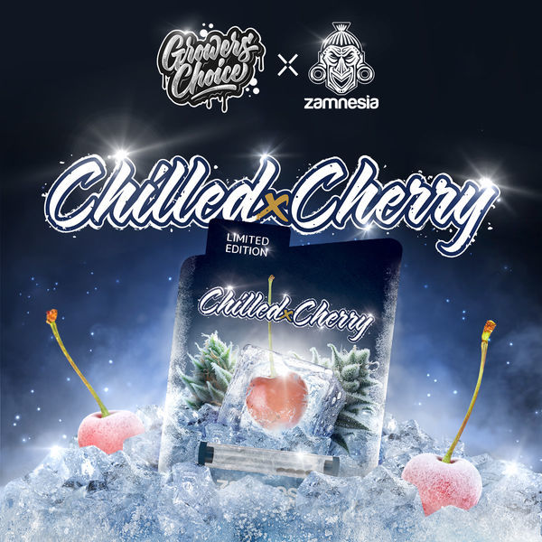 Chilled Cherry (Growers Choice x Zamnesia Seeds) feminizovaná