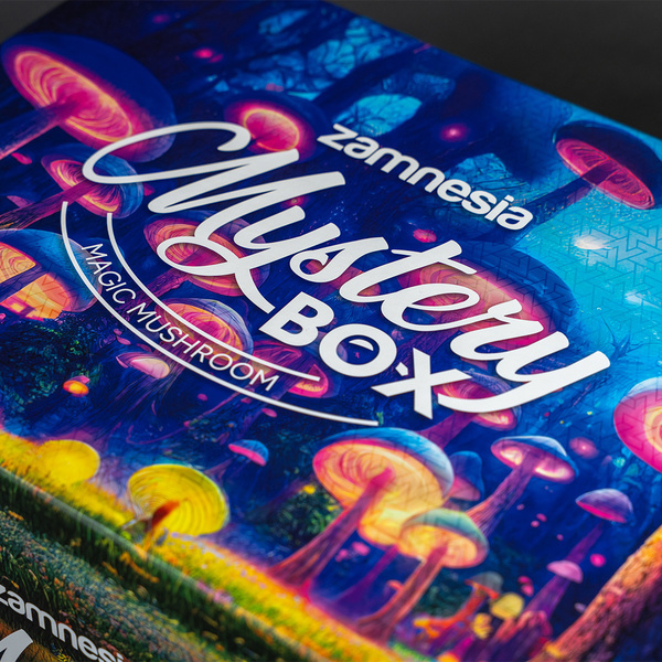 Tajemná Mystery Box pěstební sada lysohlávek (Zamnesia)