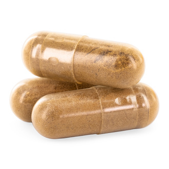 Kapsle s houbou lví hříva (Zamnesia)