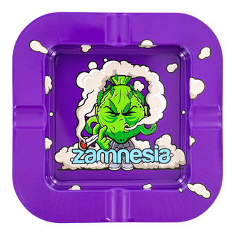 Kovov&yacute; čtvercov&yacute; popeln&iacute;k Budhead (Zamnesia)