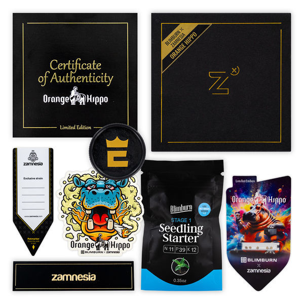 Orange Hippo (Blimburn Seeds x Zamnesia Seeds) feminizovaná