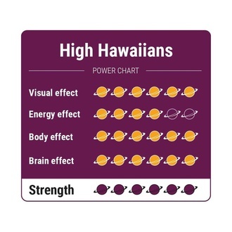High Hawaiians magické lanýže