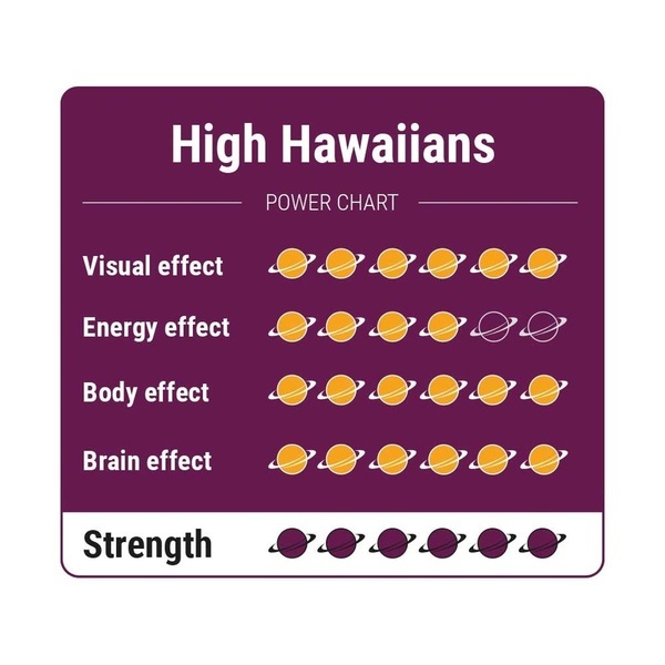 High Hawaiians magické lanýže