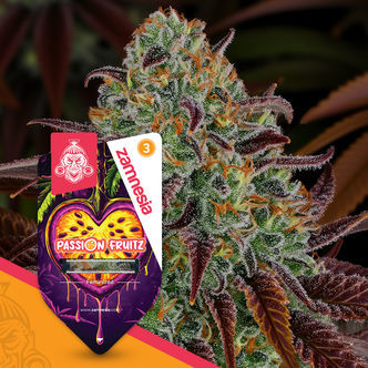 Passion Fruitz (Zamnesia Seeds) feminizovan&aacute;