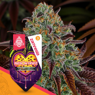Passion Fruitz (Zamnesia Seeds) feminizovan&aacute;