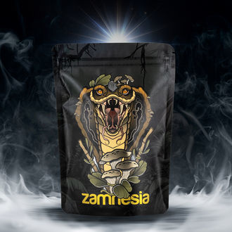 Bal&iacute;ček pokladů TRIBE &bdquo;Rising Cobra&ldquo;