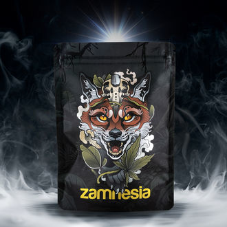 Bal&iacute;ček pokladů TRIBE &bdquo;Scouting Fox&ldquo;