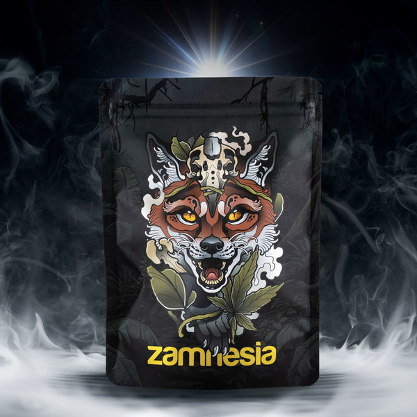 Balíček pokladů TRIBE „Scouting Fox“