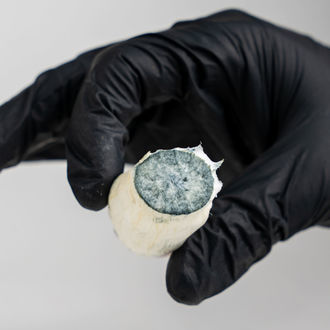 Pytel Zamnesia Ready-2-Grow „MVP“