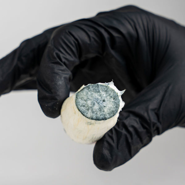 Pytel Zamnesia Ready-2-Grow „MVP“