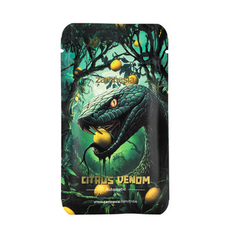 Citrus Venom Samonakvétací (Zamnesia Seeds) feminizovaná