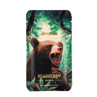 Bearberry Samonakvétací (Zamnesia Seeds) feminizovaná