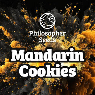Mandarin Cookies (Philosopher Seeds) feminizovan&aacute;