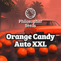 Orange Candy Auto XXL (Philosopher Seeds) feminizovaná