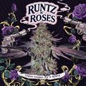 Runtz 'N Roses (T.H.Seeds) feminizované