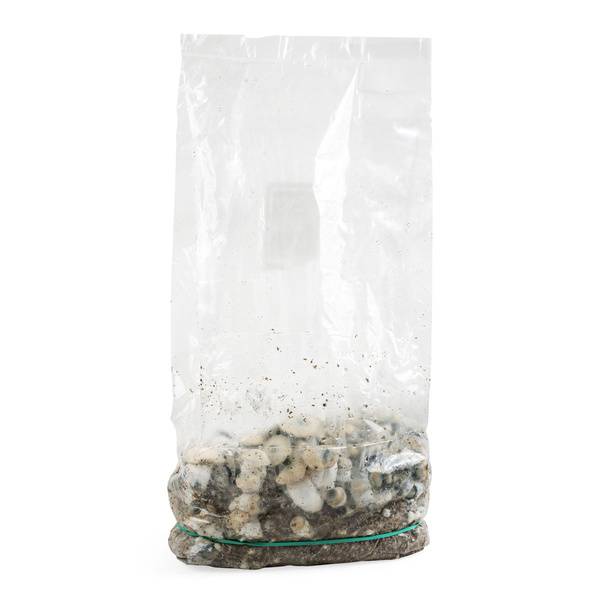 Pěstební sáček Zamnesia Ready-2-Grow „Bluey Vuitton“