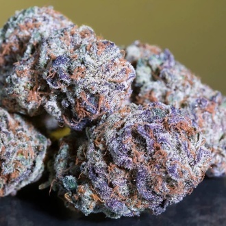 Blue Gem (Paradise Seeds) feminizovaná