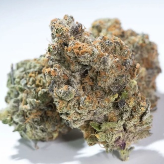 Glowstarz (Paradise Seeds) feminizovaná