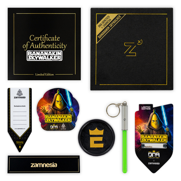 Bananakin Skywalker (Zamnesia Seeds x DNA Genetics) feminizovaná