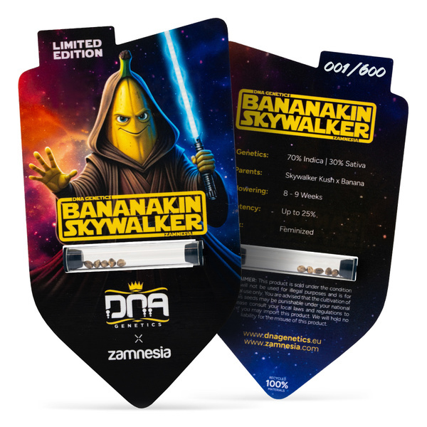 Bananakin Skywalker (Zamnesia Seeds x DNA Genetics) feminizovaná