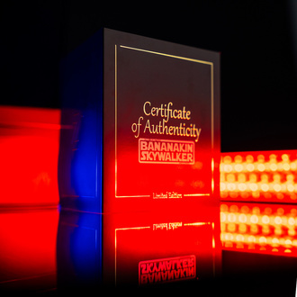 Bananakin Skywalker (Zamnesia Seeds x DNA Genetics) feminizovaná