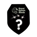 Tajemná feminizovaná semínka 3 (Royal Queen Seeds)
