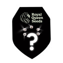 Feminized Mystery Seeds 5 (Royal Queen Seeds)