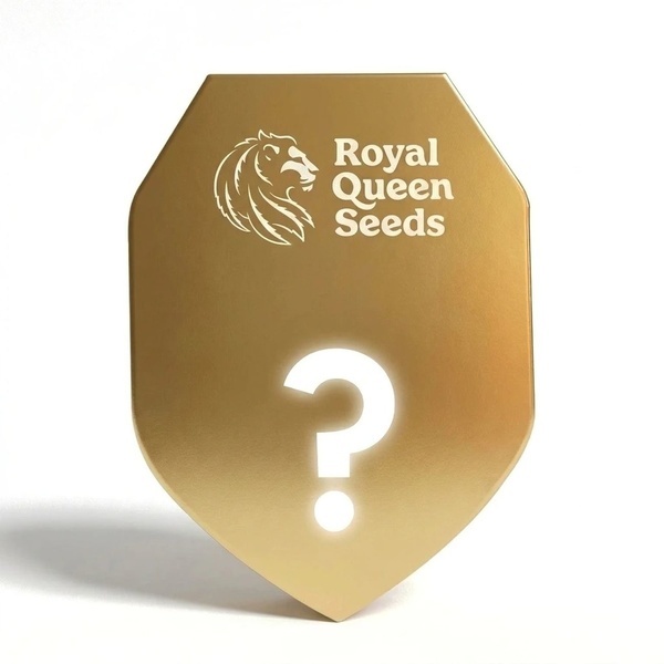 Tajemná Samonakvétací Semínka F1 10 (Royal Queen Seeds)