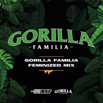 Gorilla Family Mix (BSF Seeds) feminizovan&aacute;
