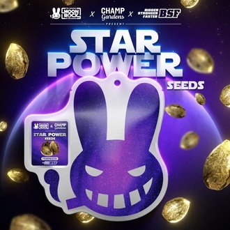 Star Power (BSF Seeds x Moon Rock) feminizovaná