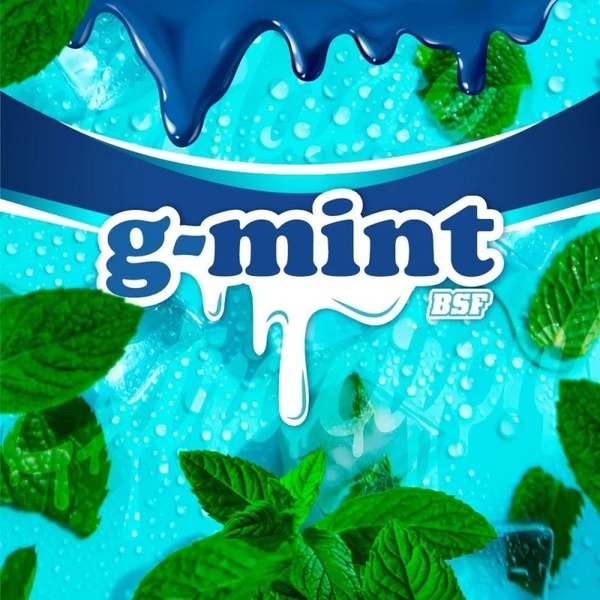 G-Mint (BSF Seeds) feminizovaná
