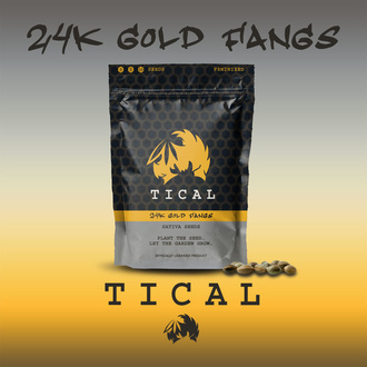 24K Gold Fangs (TICAL) feminizovaná