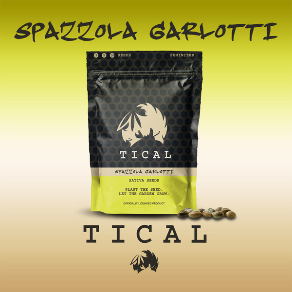 Spazzola Garletti (TICAL) feminizovaná