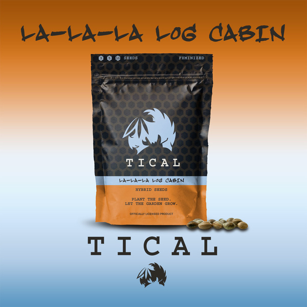 La-La-La Log Cabin (TICAL) feminizovaná