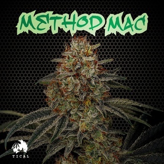 Method Mac (TICAL) feminizovan&aacute;