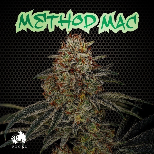 Method Mac (TICAL) feminizovaná