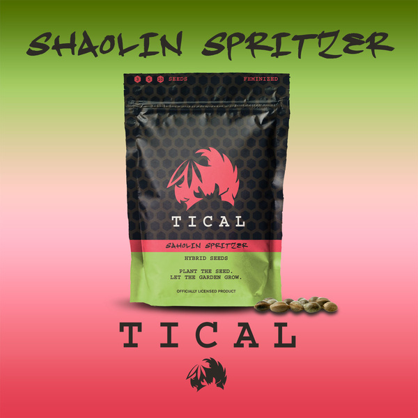 Shaolin Spritzer (TICAL) feminizovaná