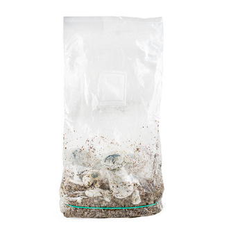 Zamnesia Ready-2-Grow Bag „APE“