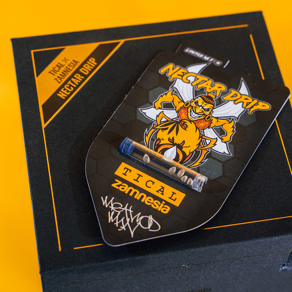 Nectar Drip (Zamnesia Seeds x TICAL) feminizované