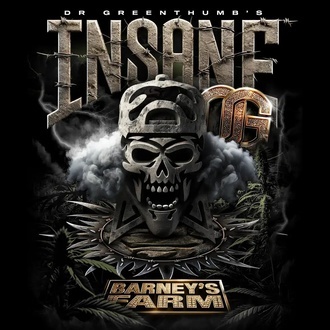 Insane OG (Barney's Farm) feminizovan&aacute;
