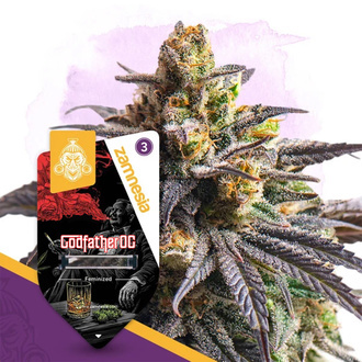 Godfather OG (Zamnesia Seeds) feminizovan&aacute;