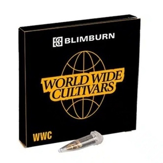 Cap Junky (Blimburn Seeds) feminizovan&aacute;