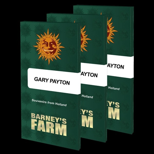 Gary Payton (Barney's Farm) feminizovaná