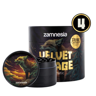 Velvet Mirage Samonakvétací (Zamnesia Seeds) - 4 feminizovaná semena + Drtička