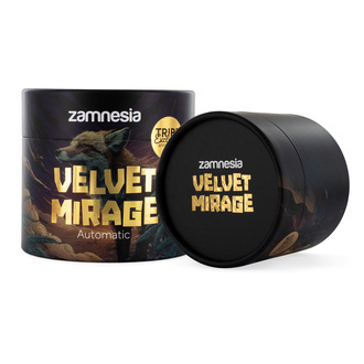 Velvet Mirage Samonakvétací (Zamnesia Seeds) - 4 feminizovaná semena + Drtička