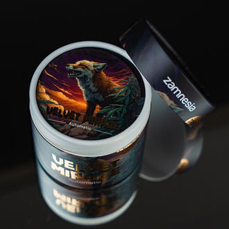 Velvet Mirage Samonakvétací (Zamnesia Seeds) - 4 feminizovaná semena + Drtička