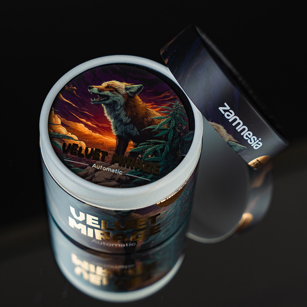 Velvet Mirage Samonakvétací (Zamnesia Seeds) - 4 feminizovaná semena + Drtička