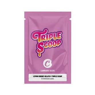 Lemon Cherry Gelato x Triple Scoop (Cookies) feminizovan&aacute;
