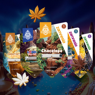 Sugar Valley Samonakv&eacute;tac&iacute; bal&iacute;ček (Zamnesia Seeds) feminizovan&aacute;